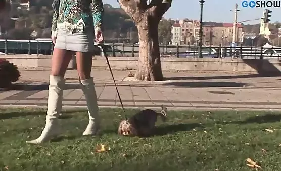 Seductive brunette teases couple with outdoor sex in lingerie