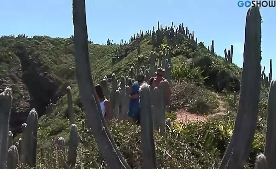 Threesome Blowjobs and Anal Hillside Oasis